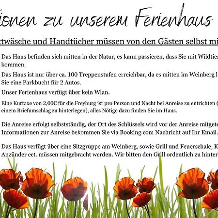 Ferienhaus Traminer Im Weinberg Freyburg Kültér fotó