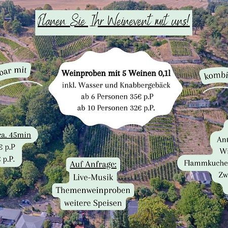Ferienhaus Traminer Im Weinberg Freyburg Kültér fotó